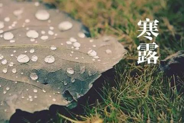 寒露是第幾個(gè)節(jié)氣 寒露是不是天氣就冷了