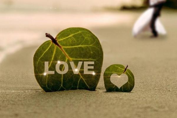 婚姻的本質(zhì)到底是什么 面對(duì)婚姻年輕人在憂慮什么 婚姻的本質(zhì)到底是什么 面對(duì)婚姻年輕人在憂慮什么