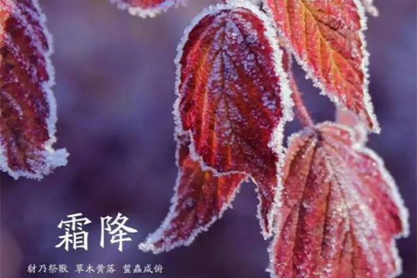 霜降的節(jié)氣含義是什么 霜降是幾月幾日2021年 霜降的節(jié)氣含義是什么 霜降是幾月幾日2021年