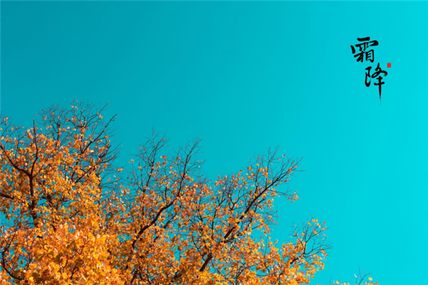 霜降吃柿子有啥好處 霜降要吃柿子嗎 霜降吃柿子有啥好處 霜降要吃柿子嗎