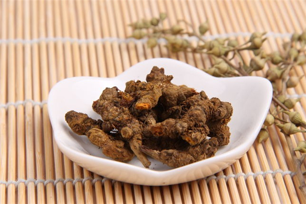 黃連可以泡水喝嗎 黃連泡水的功效和作用 黃連可以泡水喝嗎 黃連泡水的功效和作用