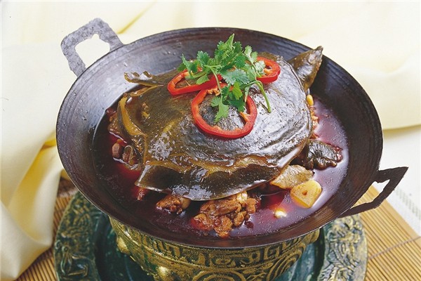 甲魚(yú)可以和雞一起燉嗎 甲魚(yú)和什么煲湯最有營(yíng)養(yǎng)