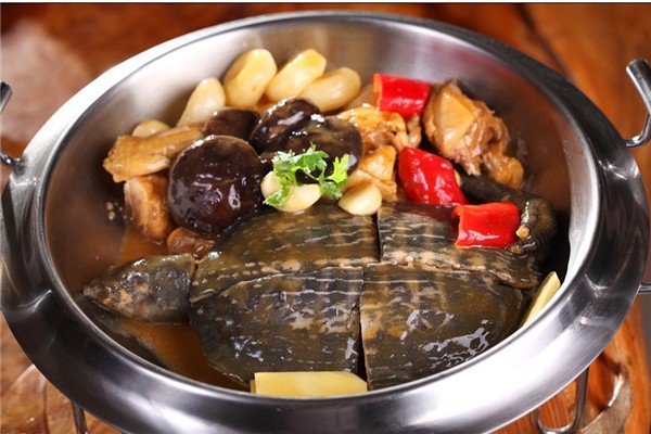 甲魚是涼性還是熱性 甲魚屬于魚類嗎 甲魚是涼性還是熱性 甲魚屬于魚類嗎