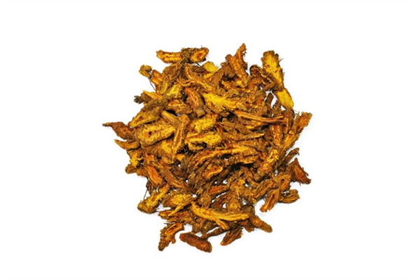 黃連可以降血糖嗎 黃連的功效和作用 黃連可以降血糖嗎 黃連的功效和作用