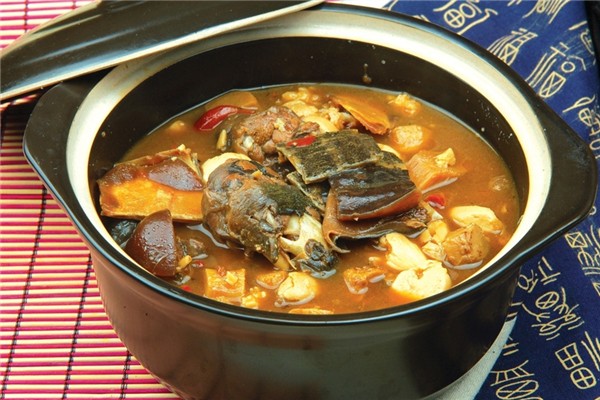 甲魚有膠原蛋白嗎 甲魚有什么營養(yǎng)和功效 甲魚有膠原蛋白嗎 甲魚有什么營養(yǎng)和功效