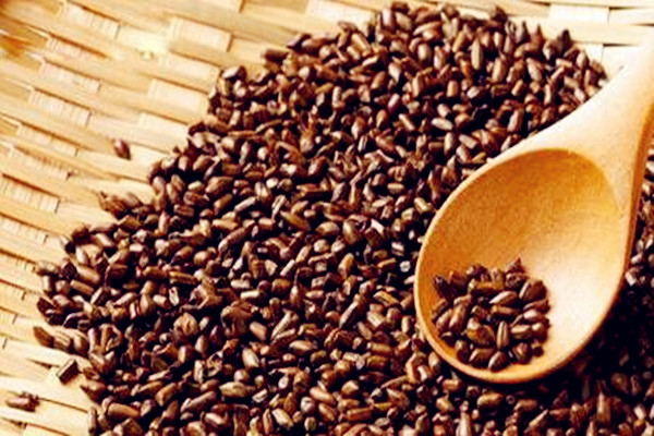 決明子是不是涼性的 決明子會上火嗎 決明子是不是涼性的 決明子會上火嗎