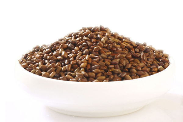 決明子泡水一次放多少合適 決明子泡水能減肥嗎 決明子泡水一次放多少合適 決明子泡水能減肥嗎