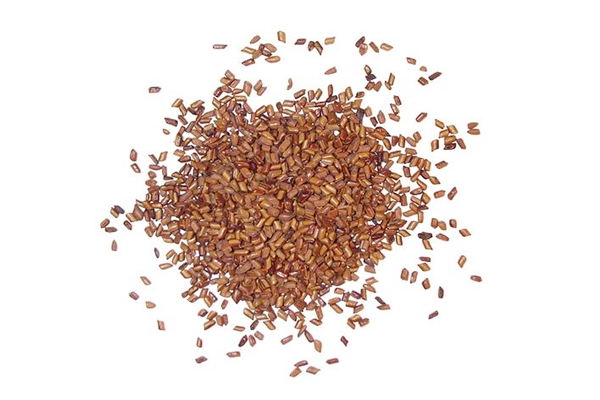 決明子泡水可以天天喝嗎 決明子泡水長期喝好嗎 決明子泡水可以天天喝嗎 決明子泡水長期喝好嗎