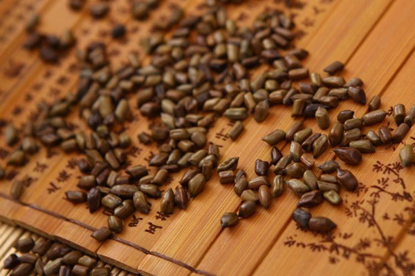 決明子能降血脂嗎 決明子能降血壓?jiǎn)?>
               <p class=