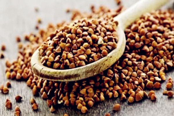 決明子適合什么人喝 決明子的禁忌人群 決明子適合什么人喝 決明子的禁忌人群