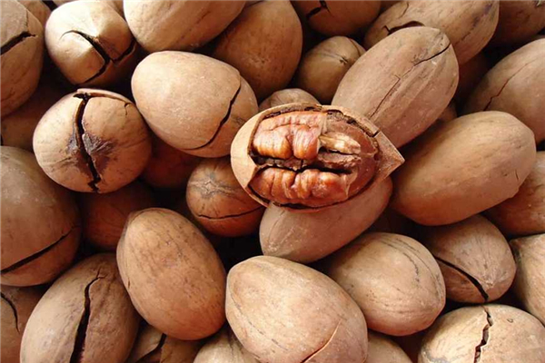 碧根果血脂高的人可以吃不 碧根果適合什么人吃 碧根果血脂高的人可以吃不 碧根果適合什么人吃