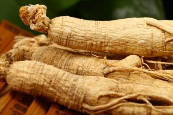 白參的功效與作用 白參適合什么人吃 白參的功效與作用 白參適合什么人吃