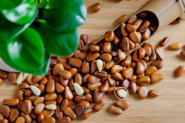 松子的營(yíng)養(yǎng)價(jià)值 松子有什么功效 松子的營(yíng)養(yǎng)價(jià)值 松子有什么功效