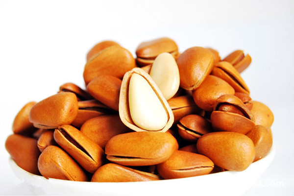 松子如何挑選 松子適合老年人吃嗎 松子如何挑選 松子適合老年人吃嗎