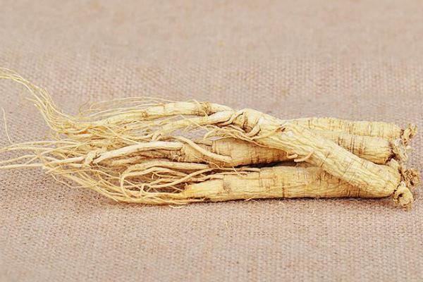 白參對肝臟有什么好處 白參對睡眠有幫助嗎 白參對肝臟有什么好處 白參對睡眠有幫助嗎