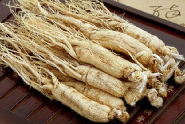 白參的功效與作用 白參適合什么人吃 白參的功效與作用 白參適合什么人吃