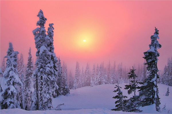 冬季吃什么養(yǎng)胃又補(bǔ)胃 冬季吃什么滋補(bǔ)身子 冬季吃什么養(yǎng)胃又補(bǔ)胃 冬季吃什么滋補(bǔ)身子