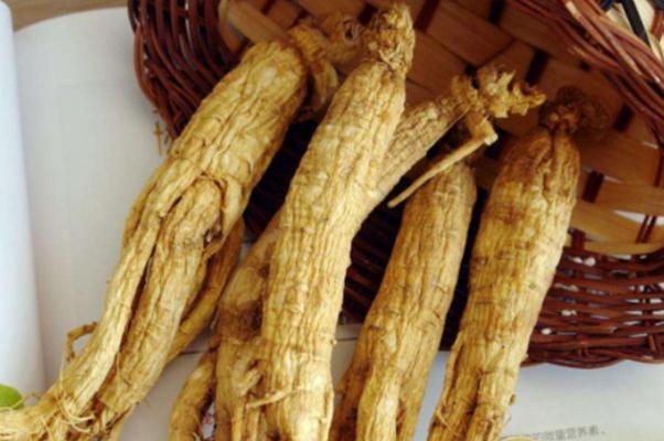 白參對肝臟有什么好處 白參對睡眠有幫助嗎 白參對肝臟有什么好處 白參對睡眠有幫助嗎