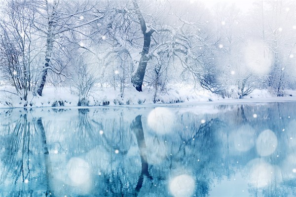 冬季吃什么養(yǎng)胃又補(bǔ)胃 冬季吃什么滋補(bǔ)身子 冬季吃什么養(yǎng)胃又補(bǔ)胃 冬季吃什么滋補(bǔ)身子