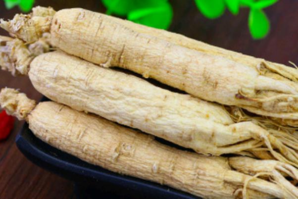 白參對肝臟有什么好處 白參對睡眠有幫助嗎 白參對肝臟有什么好處 白參對睡眠有幫助嗎