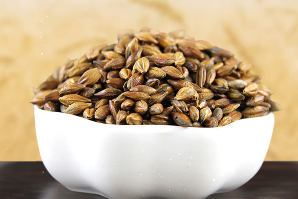 大麥茶是酸性還是堿性 大麥茶是熱性的還是涼性的 大麥茶是酸性還是堿性 大麥茶是熱性的還是涼性的