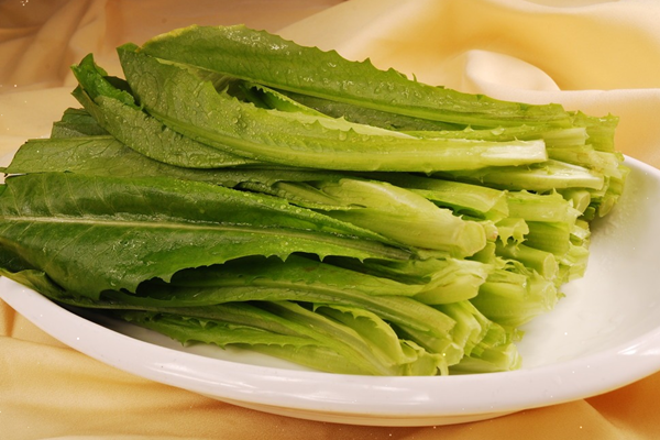 油麥菜能生吃嗎 油麥菜生吃的好處 油麥菜能生吃嗎 油麥菜生吃的好處