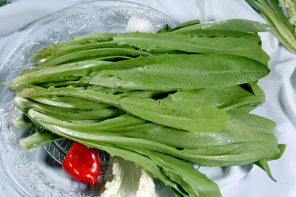 油麥菜能下火鍋嗎 油麥菜能做湯吃嗎 油麥菜能下火鍋嗎 油麥菜能做湯吃嗎