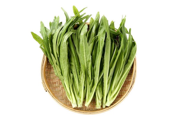 油麥菜能下火鍋嗎 油麥菜能做湯吃嗎 油麥菜能下火鍋嗎 油麥菜能做湯吃嗎