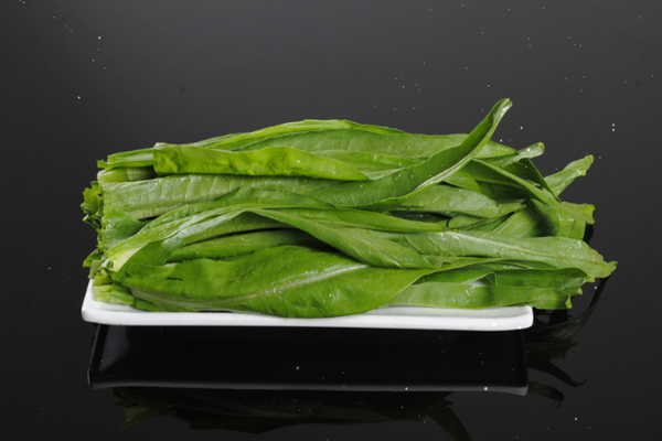 油麥菜可以每天吃嗎 油麥菜能過夜吃嗎 油麥菜可以每天吃嗎 油麥菜能過夜吃嗎