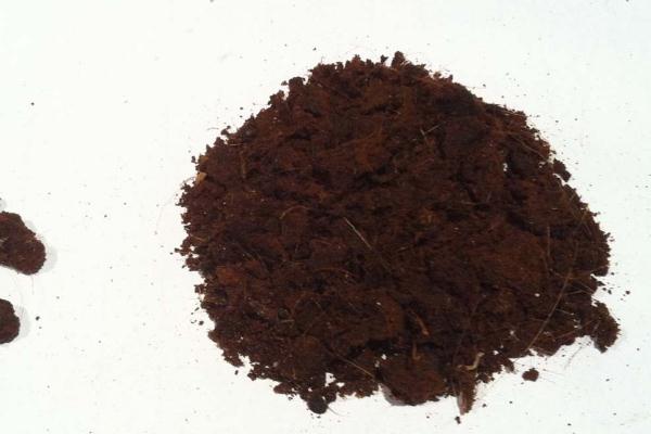 人工麝香會導(dǎo)致流產(chǎn)嗎 人工麝香對孕婦有什么危害 人工麝香會導(dǎo)致流產(chǎn)嗎 人工麝香對孕婦有什么危害