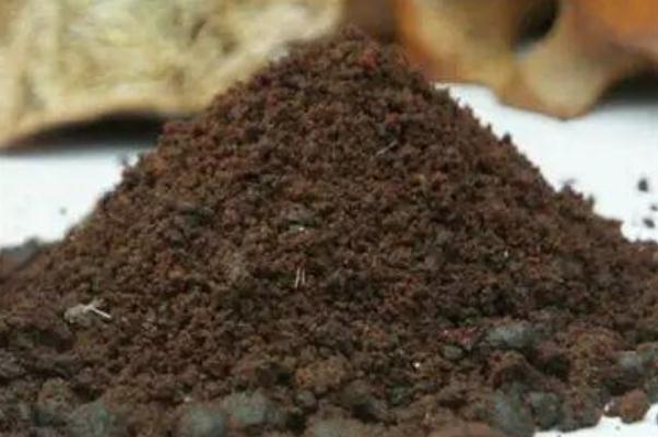 人工麝香會導(dǎo)致流產(chǎn)嗎 人工麝香對孕婦有什么危害 人工麝香會導(dǎo)致流產(chǎn)嗎 人工麝香對孕婦有什么危害