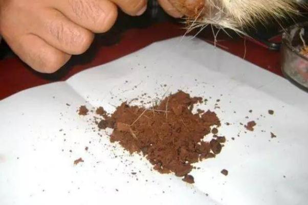 人工麝香會導(dǎo)致流產(chǎn)嗎 人工麝香對孕婦有什么危害 人工麝香會導(dǎo)致流產(chǎn)嗎 人工麝香對孕婦有什么危害