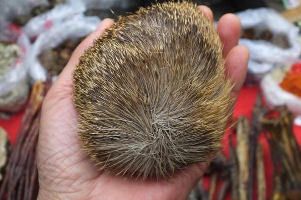 麝香是不是會(huì)導(dǎo)致不孕 麝香為什么會(huì)導(dǎo)致不孕 麝香是不是會(huì)導(dǎo)致不孕 麝香為什么會(huì)導(dǎo)致不孕