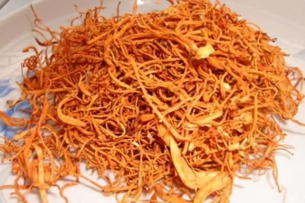 蟲草花是干嘛的 蟲草花是哪里的特產(chǎn) 蟲草花是干嘛的 蟲草花是哪里的特產(chǎn)