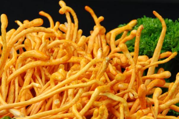 蟲草花的吃法禁忌 蟲草花的用量多少合適 蟲草花的吃法禁忌 蟲草花的用量多少合適