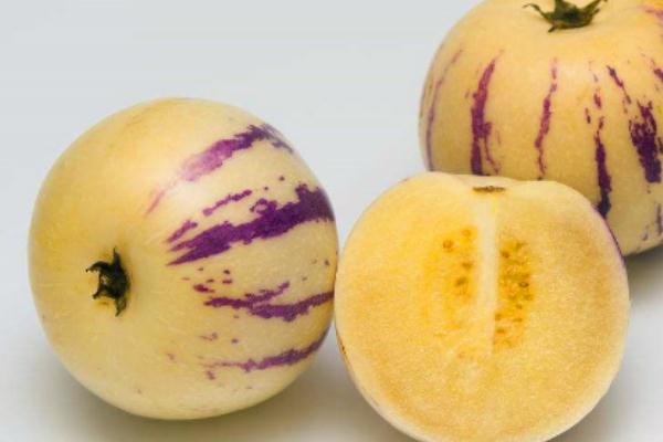 人參果會(huì)上火嗎 人參果上火的還是去火的 人參果會(huì)上火嗎 人參果上火的還是去火的