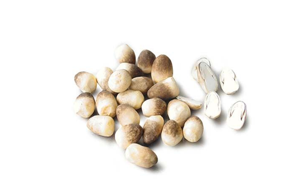 草菇是涼性還是熱性 草菇是香菇嗎 草菇是涼性還是熱性 草菇是香菇嗎