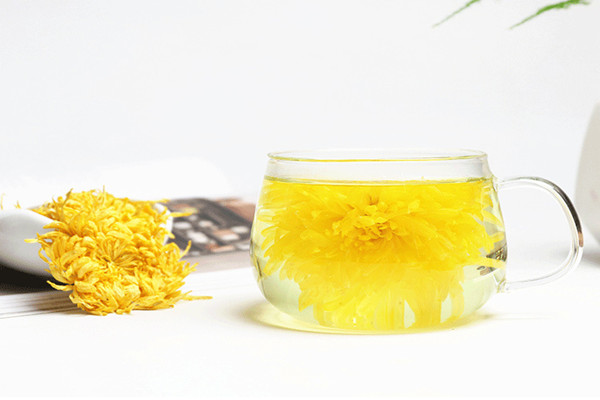 菊花茶什么季節(jié)喝合適 菊花茶什么時間段喝好 菊花茶什么季節(jié)喝合適 菊花茶什么時間段喝好