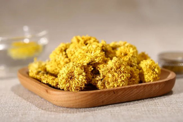 菊花茶可以降血壓嗎 菊花茶可以空腹喝嗎 菊花茶可以降血壓嗎 菊花茶可以空腹喝嗎