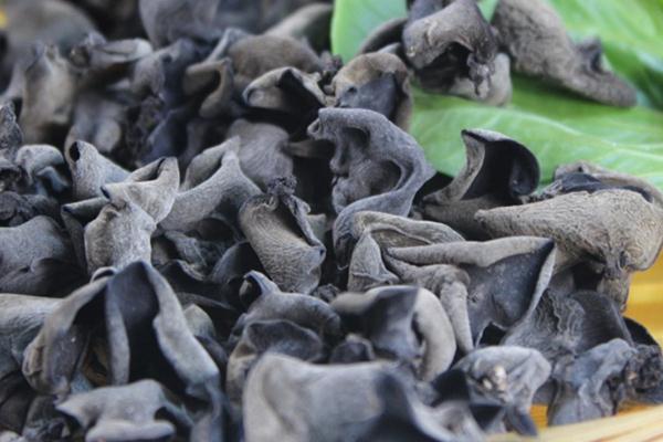 黑木耳會(huì)上火嗎 黑木耳上火還是下火 黑木耳會(huì)上火嗎 黑木耳上火還是下火