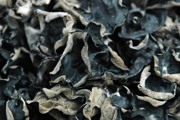 黑木耳會(huì)上火嗎 黑木耳上火還是下火 黑木耳會(huì)上火嗎 黑木耳上火還是下火