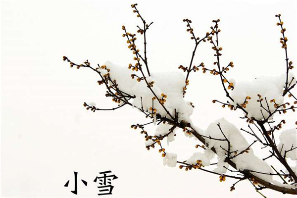 小雪是幾月幾日 小雪節(jié)氣的由來(lái)和風(fēng)俗