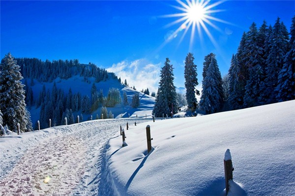 冬季補(bǔ)什么的好季節(jié) 冬季是補(bǔ)陽(yáng)氣還是補(bǔ)陰 冬季補(bǔ)什么的好季節(jié) 冬季是補(bǔ)陽(yáng)氣還是補(bǔ)陰