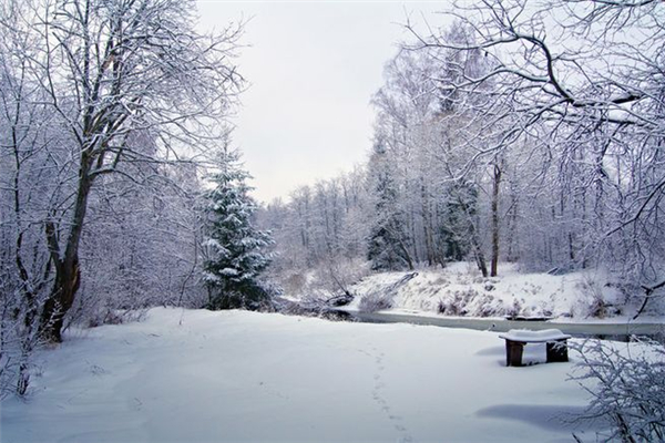 冬季補(bǔ)什么的好季節(jié) 冬季是補(bǔ)陽(yáng)氣還是補(bǔ)陰 冬季補(bǔ)什么的好季節(jié) 冬季是補(bǔ)陽(yáng)氣還是補(bǔ)陰