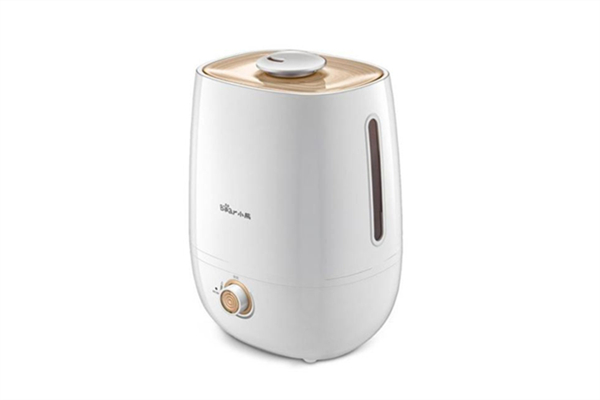 加濕器買有霧的還是無霧的 加濕器買多大容量好 加濕器買有霧的還是無霧的 加濕器買多大容量好