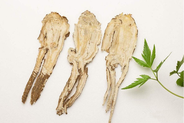 當(dāng)歸泡水能天天喝嗎 當(dāng)歸泡水能隔夜喝嗎 當(dāng)歸泡水能天天喝嗎 當(dāng)歸泡水能隔夜喝嗎