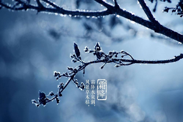 霜降是第幾個節(jié)氣 霜降意味著什么 霜降是第幾個節(jié)氣 霜降意味著什么