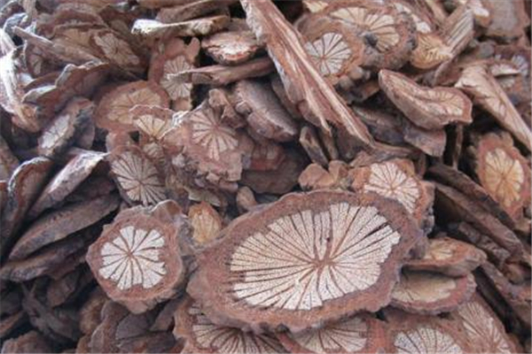 大血藤對孕婦有影響嗎 大血藤的禁忌人群 大血藤對孕婦有影響嗎 大血藤的禁忌人群