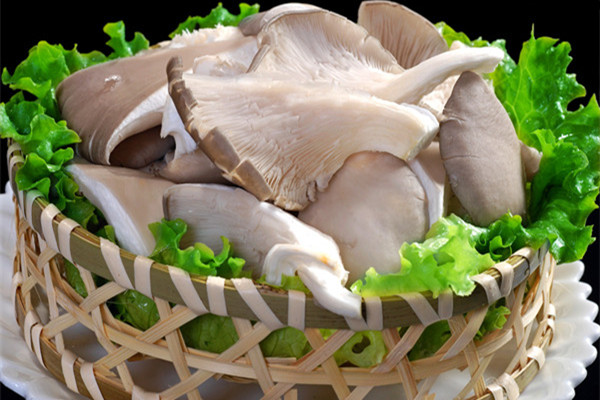 平菇寶寶可以吃嗎 寶寶吃平菇好嗎