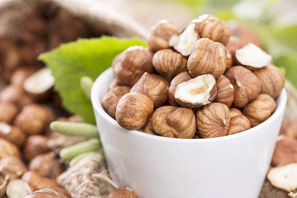 榛子的營養(yǎng)價值 榛子一天吃多少為宜 榛子的營養(yǎng)價值 榛子一天吃多少為宜